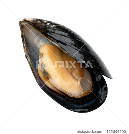 Fresh open mussel, single piece of shellfish food. An appetizing seafood delicacy ready for gourmet meal 133896290