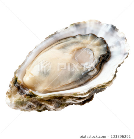 Single fresh raw oyster in half shell. delicious gourmet seafood appetizer and delicacy for fine dining 133896291