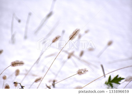 當它是第一場雪 當它是第一場雪 133896659