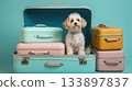 Cute fluffy white Maltipoo dog sits inside an open light blue vintage suitcase, surrounded by stacked pastel luggage on matching blue studio background 133897837