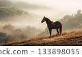 Majestic brown horse stands alone on misty sunlit hillside, gazing over foggy valley at sunrise. Perfect for themes of spirituality, solitude, freedom, tranquility, new beginnings, emotional depth 133898055