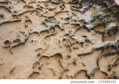 Art of nature! Taiwan's most famous rock formations, "Yehliu Geopark" 133898103