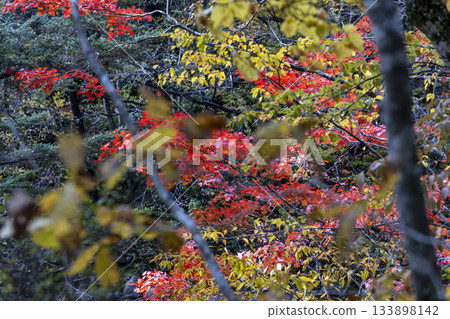 Vibrant autumn foliage colors the Azusa River and mountains in Matsumoto City, Nagano Prefecture Vibrant autumn foliage colors the Azusa River and mountains in Matsumoto City, Nagano Prefecture 133898142