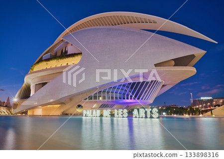 Palau de les Arts and Blue Hour 133898316