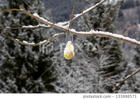 Providing the birds with food 133898571