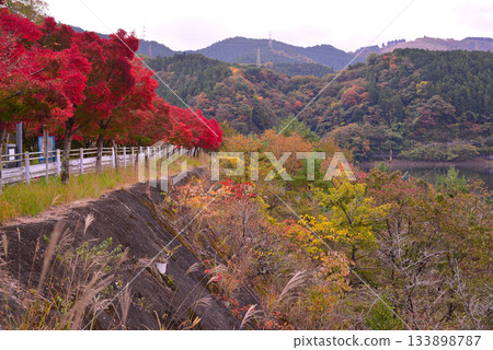 Autumn leaves of Lake Tanzawa Autumn leaves of Lake Tanzawa 133898787