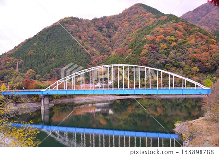Autumn leaves of Lake Tanzawa Autumn leaves of Lake Tanzawa 133898788