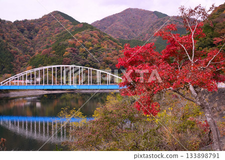 Autumn leaves of Lake Tanzawa 133898791