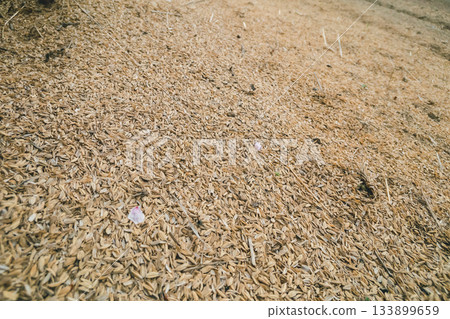 field, ground, land 133899659