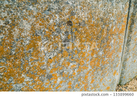 牆壁 牆 苔蘚 133899660