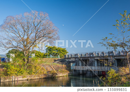 京都會伏見區米蘇萊堰 133899831