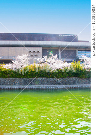 京都岡崎清水的櫻花 133899884