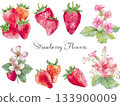 Watercolor strawberry art illustration 133900009