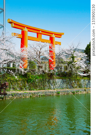 京都岡崎清水的櫻花 京都岡崎清水的櫻花 133900130