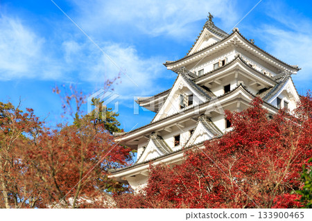 秋葉碧空，郡上八幡城景色壯麗。 133900465