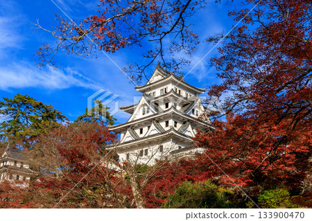 A spectacular view of Gujo Hachiman Castle against the backdrop of autumn leaves and blue skies A spectacular view of Gujo Hachiman Castle against the backdrop of autumn leaves and blue skies 133900470
