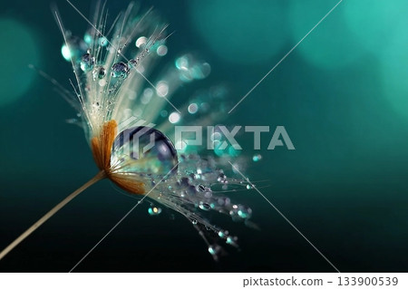 Beautiful shiny dew water drop on dandelion seed in nature macro. Soft selective focus, sparkling bokeh. Dark blue green background. 133900539