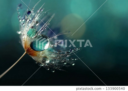 Beautiful shiny dew water drop on dandelion seed in nature macro. Soft selective focus, sparkling bokeh. Dark blue green background. 133900540