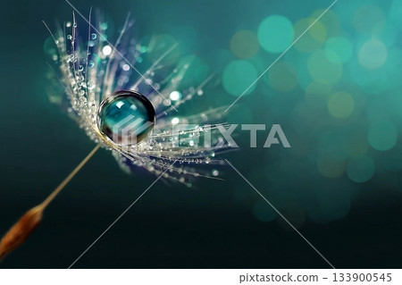 Beautiful shiny dew water drop on dandelion seed in nature macro. Soft selective focus, sparkling bokeh. Dark blue green background. 133900545