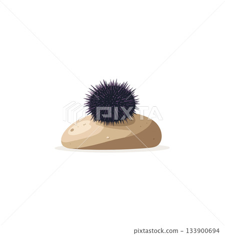 Minimalist vector illustration showcasing sea urchin balancing carefully upon a smooth beach 133900694