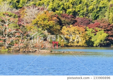 Finally, the autumn colors of Lake Ippeki Finally, the autumn colors of Lake Ippeki 133900896