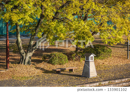 Fushimi Port Park in late autumn, Fushimi Ward, Kyoto City Fushimi Port Park in late autumn, Fushimi Ward, Kyoto City 133901102