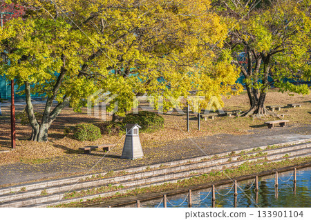 京都市伏見區伏見港公園，秋末景色 133901104
