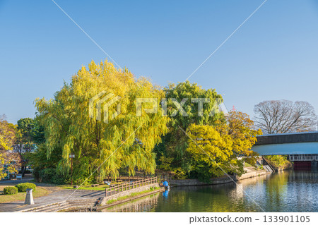 京都市伏見區伏見港公園，秋末景色 133901105