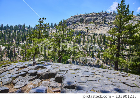 Basalt Rock Formations with Pine Trees at Devils Postpile California Mountain Landscape 133901215