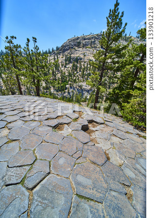 Basalt Columns and Pine Trees at Devils Postpile in California under Summer Sky 133901218