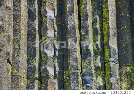 Basalt Rock Texture with Green Lichen at Devils Postpile National Monument 133901233