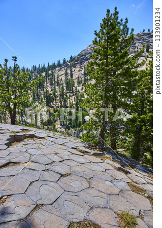 Basalt Rock Formations and Pine Forest at Devils Postpile Mammoth Lakes in Summer 133901234