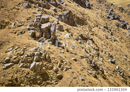 Rugged Rocky Hillside with Dry Grass and Boulders in Mountainous Wilderness 133901304
