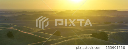 Aerial Golden Hour Rolling Hills and Trees Panorama California 133901338
