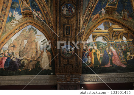 Vatican Museums grand gallery with narrative wall frescoes arches and decorative vaults Rome Italy. High quality photo 133901435