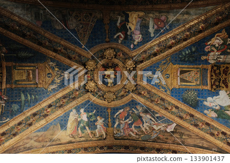 Vatican Museums ornate Renaissance ceiling frescoes with gold stucco and painted medallions Rome Italy. High quality photo Vatican Museums ornate Renaissance ceiling frescoes with gold stucco and painted medallions Rome Italy. High quality photo 133901437