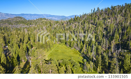 Aerial Sequoia National Forest Green Meadow and Mountain Landscape 133901505