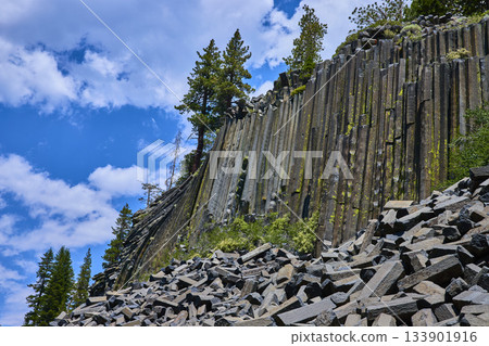 Basalt Rock Columns and Pine Trees at Devils Postpile California Under Blue Sky Basalt Rock Columns and Pine Trees at Devils Postpile California Under Blue Sky 133901916
