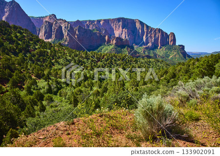 Red Rock Cliffs Kolob Canyon Forest and Blue Sky Utah Landscape 133902091