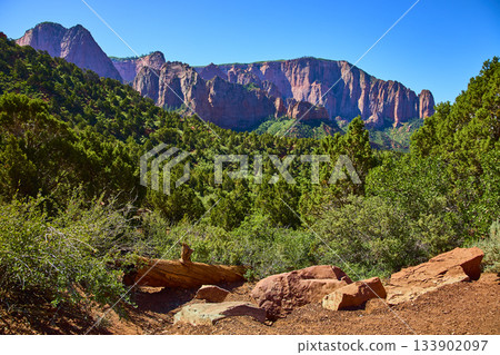 Kolob Canyon Red Rock Cliffs Lush Pine Forest and Rocky Desert Terrain Utah Kolob Canyon Red Rock Cliffs Lush Pine Forest and Rocky Desert Terrain Utah 133902097