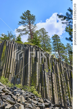 Basalt Columns and Pine Trees at Devils Postpile California Under Sunny Blue Sky 133902149
