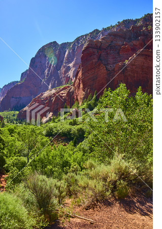 Red Rock Cliffs and Lush Greenery Under Bright Blue Sky in Utah Canyon 133902157