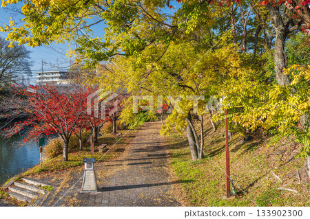 Late autumn promenade along the Horikawa River, Fushimi Ward, Kyoto City Late autumn promenade along the Horikawa River, Fushimi Ward, Kyoto City 133902300