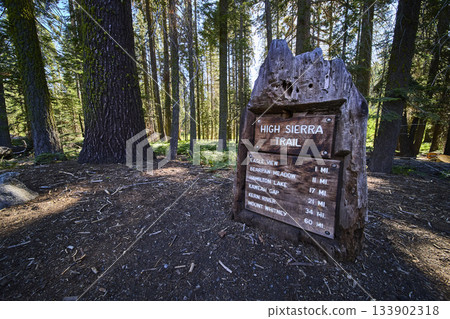 High Sierra Trail Sign Ancient Tree Trunk and Towering Pines in Forest 133902318