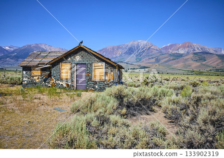 Abandoned House with Crow in Sagebrush Meadow and Sierra Nevada Mountains Abandoned House with Crow in Sagebrush Meadow and Sierra Nevada Mountains 133902319
