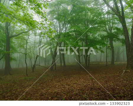 阿魯博山 阿魯博山 133902323