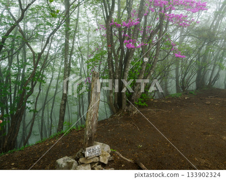 荒船嶽山頂 133902324