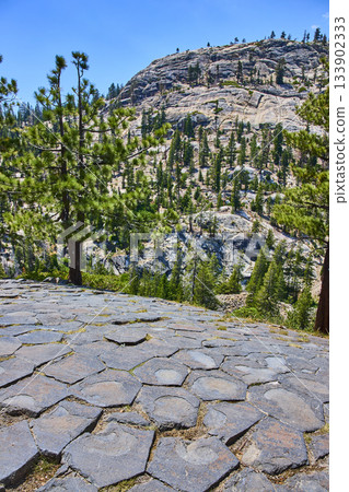 Basalt Rock Columns and Pine Trees at Devils Postpile in Bright Summer Light 133902333