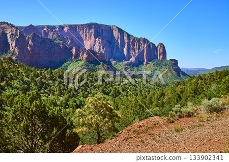 Kolob Canyon Red Rock Cliffs and Green Forest in Zion National Park Utah 133902341