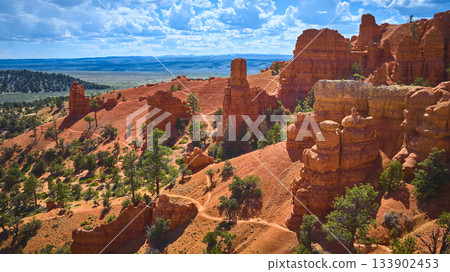 Aerial Red Canyon Hoodoos Rugged Trail and Pine Trees Utah Landscape Aerial Red Canyon Hoodoos Rugged Trail and Pine Trees Utah Landscape 133902453